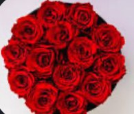 A round box packed with red roses