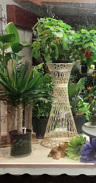 The plant room, full of green and blooming plants